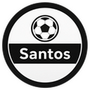 Skin Santos